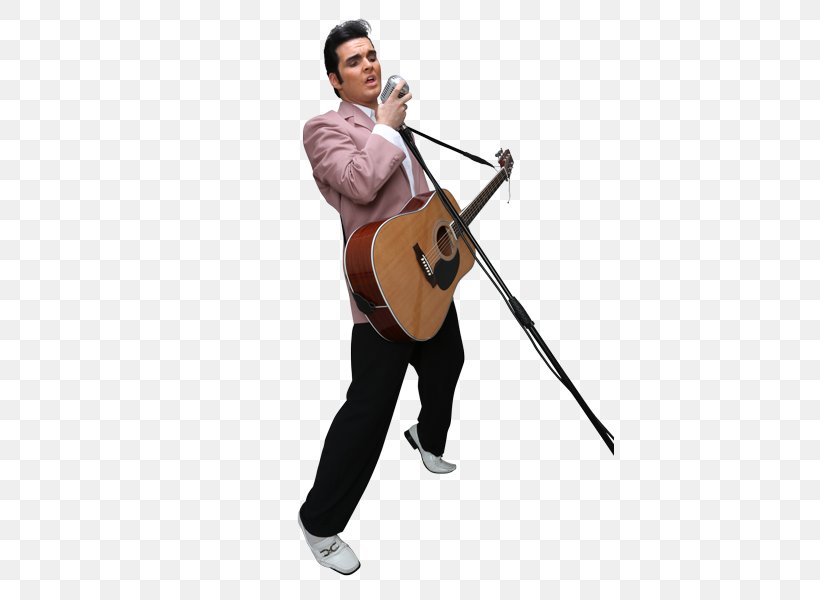 Elvis Presley City Cruises Violin Rock And Roll, PNG, 408x600px, Watercolor, Cartoon, Flower, Frame, Heart Download Free