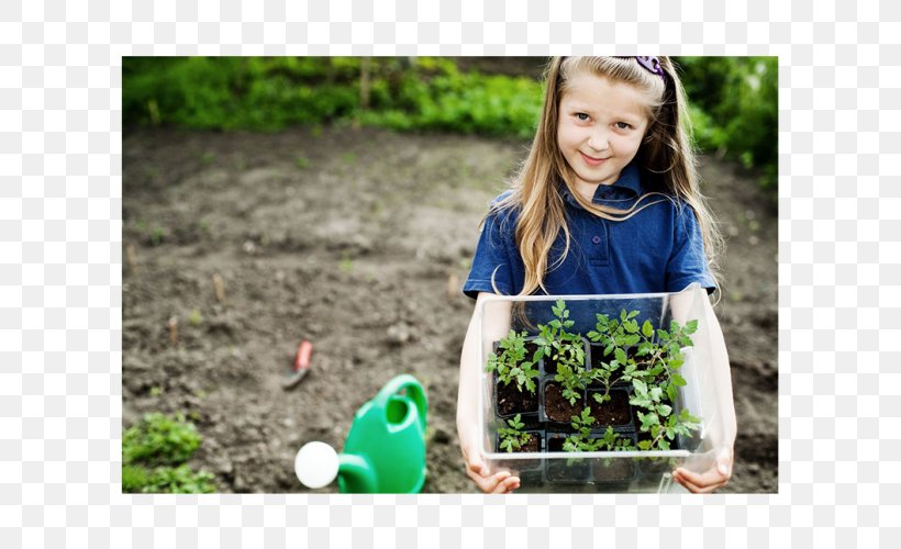 Gardening Child Container Garden Garden Tool, PNG, 620x500px, Gardening, Child, Companion Planting, Container Garden, Environmentally Friendly Download Free
