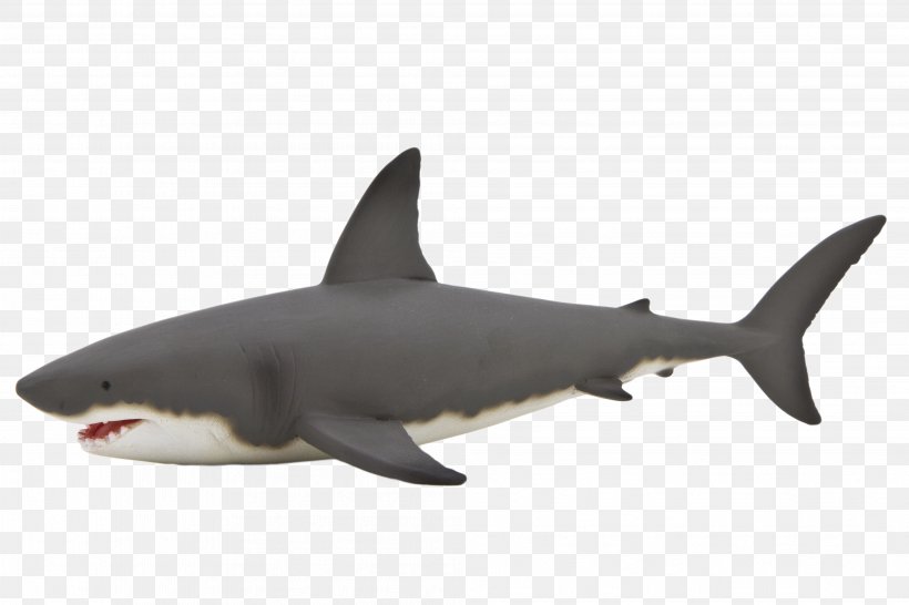 Great White Shark Shark Anatomy Whale Shark Isurus Oxyrinchus, PNG, 4021x2680px, Shark, Action Toy Figures, Animal, Blue Shark, Carcharhiniformes Download Free