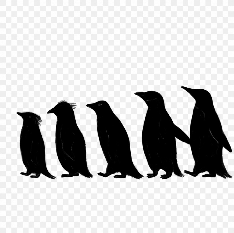 Penguin Fauna Silhouette Beak, PNG, 1679x1678px, Penguin, Beak, Bird, Emperor Penguin, Fauna Download Free