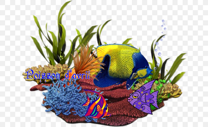 Sea Coral Reef Fish Clip Art, PNG, 661x500px, Sea, Animaatio, Animal, Aquarium Decor, Coral Reef Fish Download Free