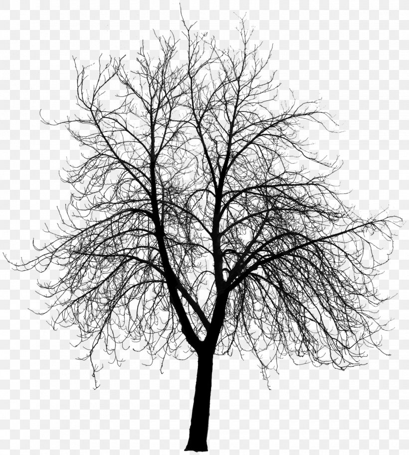 Tree Clip Art, PNG, 1440x1600px, Tree, Black And White, Branch, Monochrome, Monochrome Photography Download Free