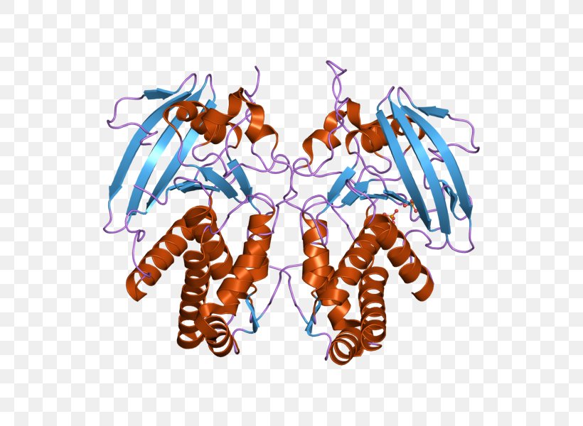 Tyrosine Protein Phosphatase Decapoda Gene, PNG, 800x600px, Watercolor, Cartoon, Flower, Frame, Heart Download Free