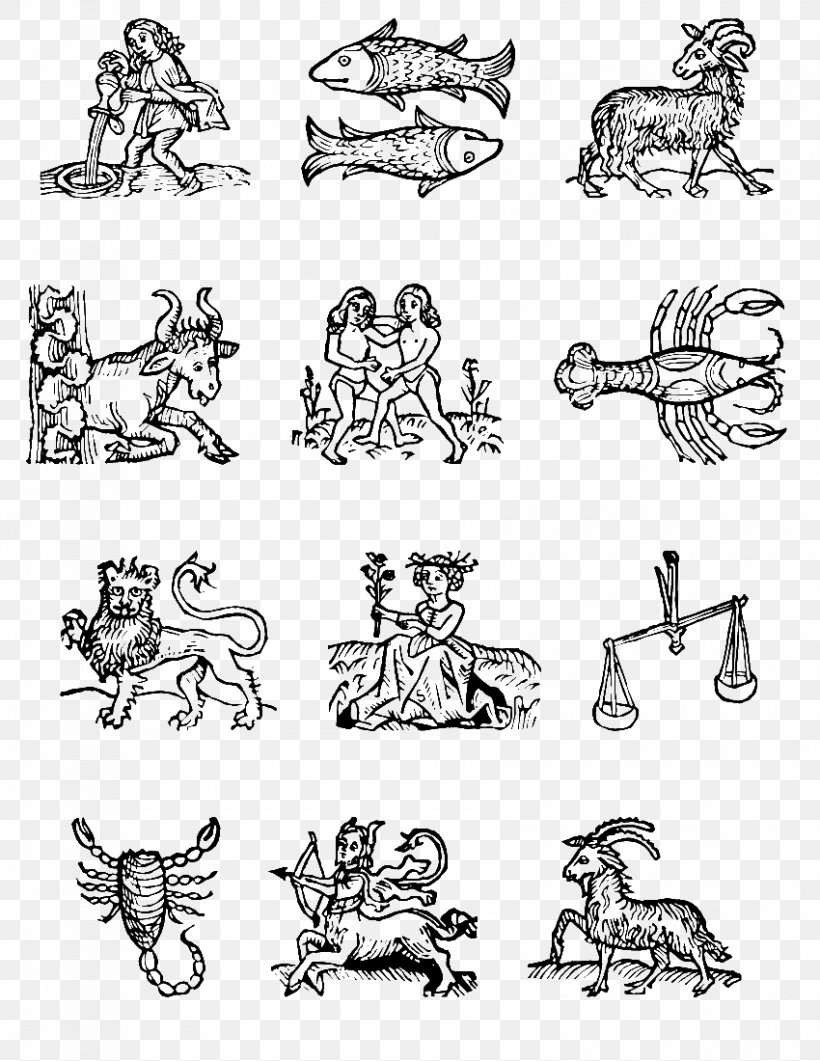 Astrological Sign Zodiac Aquarius Symbol, PNG, 850x1100px, Astrological Sign, Aquarius, Area, Arm, Art Download Free