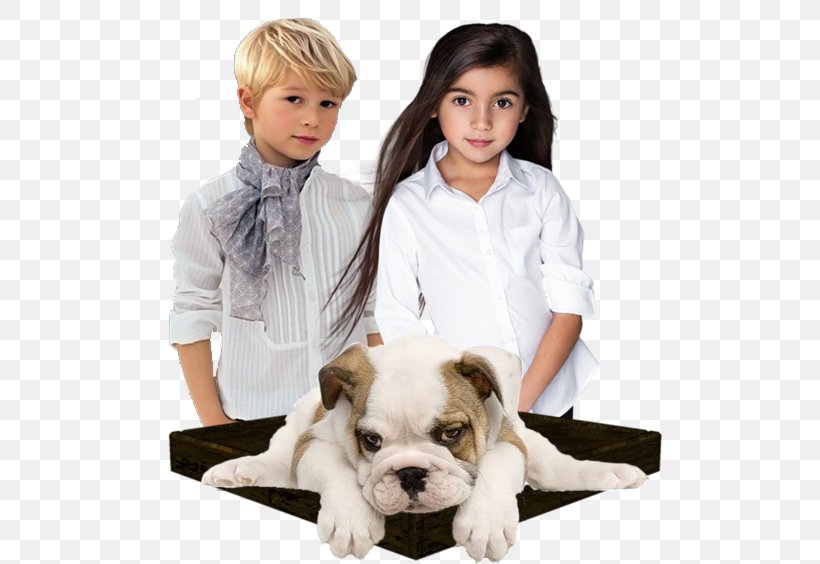 Dog Breed Puppy Child Companion Dog, PNG, 567x564px, Dog Breed, Beach, Breed, Carnivoran, Cat Download Free