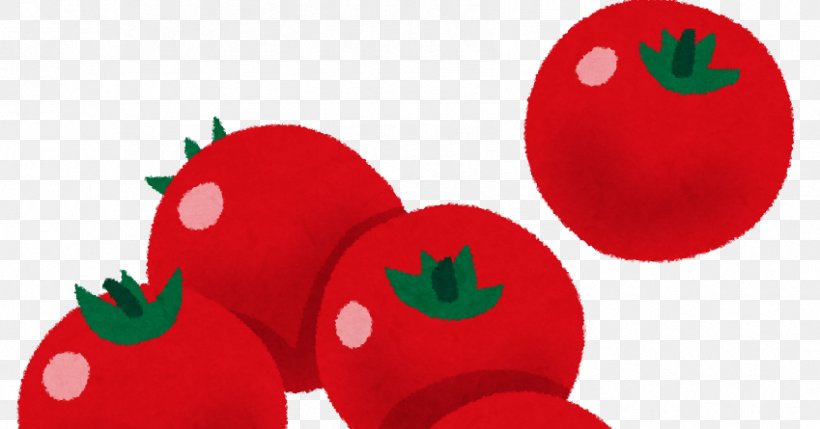 Tomato Vegetable Food Salad Recipe, PNG, 849x445px, Tomato, Apple, Beslenme, Budi Daya, Christmas Ornament Download Free