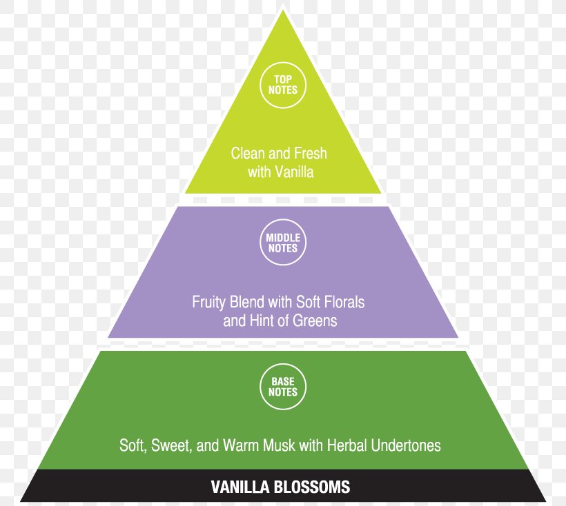 DIKW Pyramid Chart Diagram Infographic Information, PNG, 782x734px ...