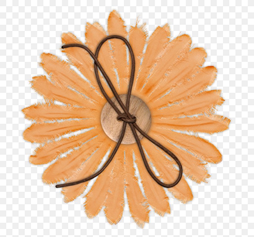 Flower Clip Art, PNG, 772x766px, Flower, Abstraction, Image File Formats, Orange, Peach Download Free