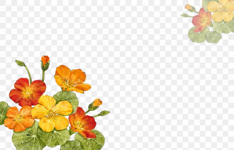 Flower Download Computer File, PNG, 4961x3189px, Flower, Drawing, Flora, Floral Design, Floristry Download Free