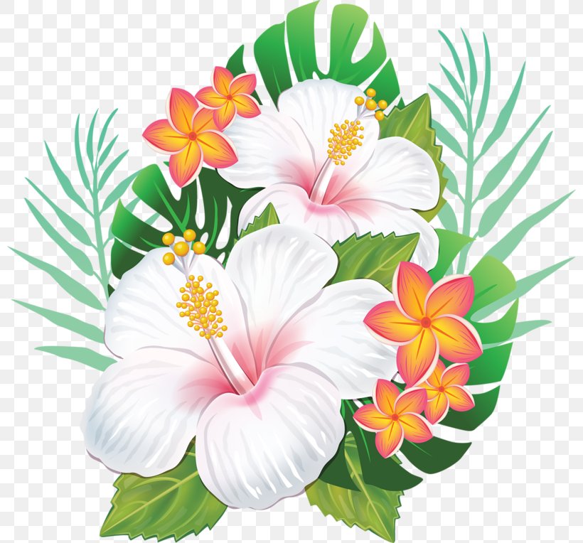 Rosemallows Hawaiian Hibiscus Flower, PNG, 800x764px, Rosemallows, Aloha, Annual Plant, Brighamia Insignis, Cut Flowers Download Free