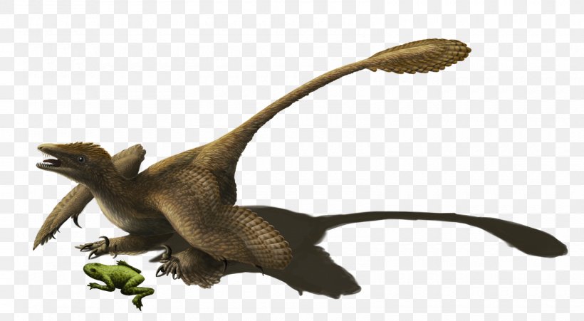 Sinornithosaurus Microraptor Velociraptor Dinosaur Utahraptor, PNG, 1600x881px, Sinornithosaurus, Animal, Animal Figure, Bird, Bird Of Prey Download Free