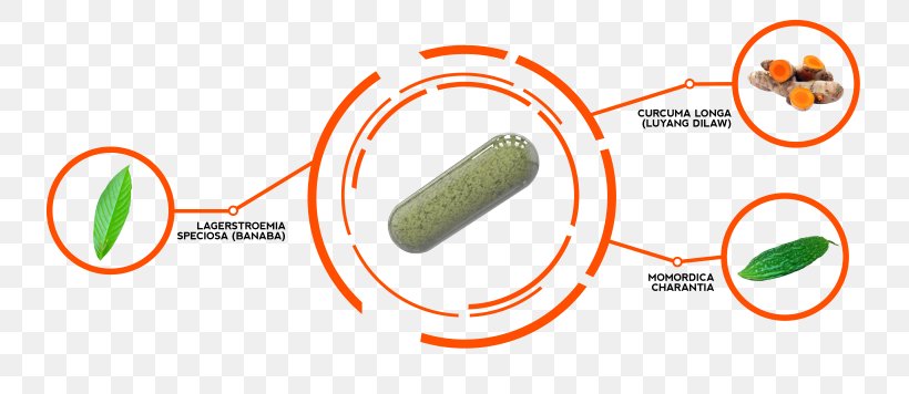 Dietary Supplement Herb Longjack Bitter Melon Ingredient, PNG, 800x356px, Dietary Supplement, Bitter Melon, Brand, Capsule, Diagram Download Free