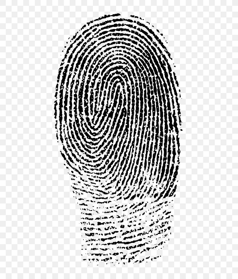 Fingerprint Clip Art, PNG, 768x960px, Fingerprint, Biometrics, Black And White, Finger, Forensic Science Download Free