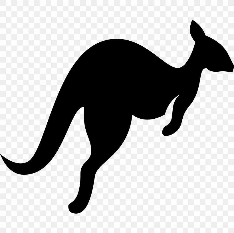 Kangaroo Whiskers Wallaby Reserve Clip Art, PNG, 1600x1600px, Kangaroo, Black And White, Carnivoran, Cat, Cat Like Mammal Download Free