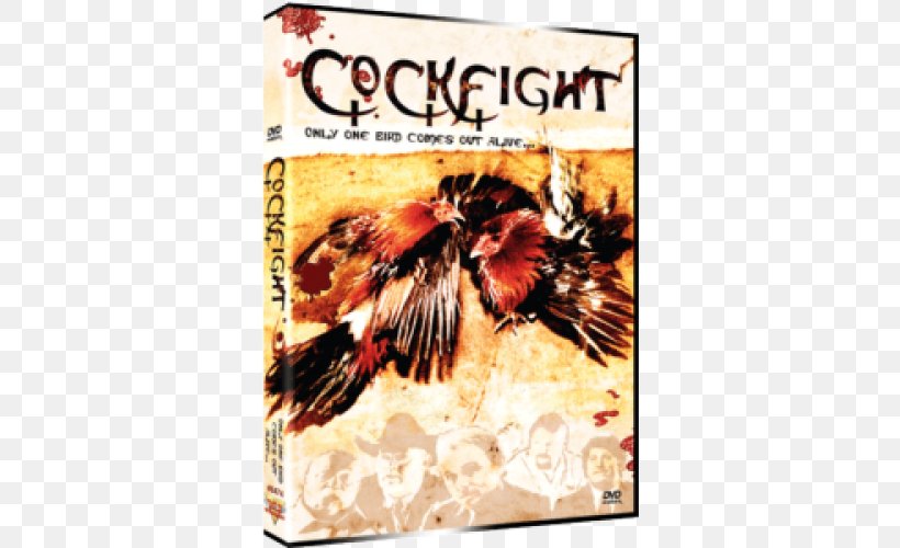 Professional Cockfighting Amazon.com Blu-ray Disc Film, PNG, 500x500px, Amazoncom, Advertising, B Movie, Bluray Disc, Cockfight Download Free