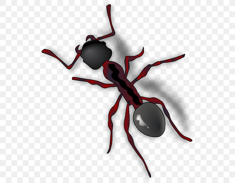 The Ant And The Grasshopper Clip Art, PNG, 540x640px, Ant, Animation, Ant And The Grasshopper, Ant Colony, Arthropod Download Free