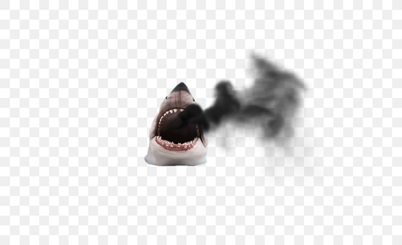 Whale Shark Dog Breed Shark Attack Animal, PNG, 500x500px, Shark, Animal, Art, Binary Large Object, Black Download Free