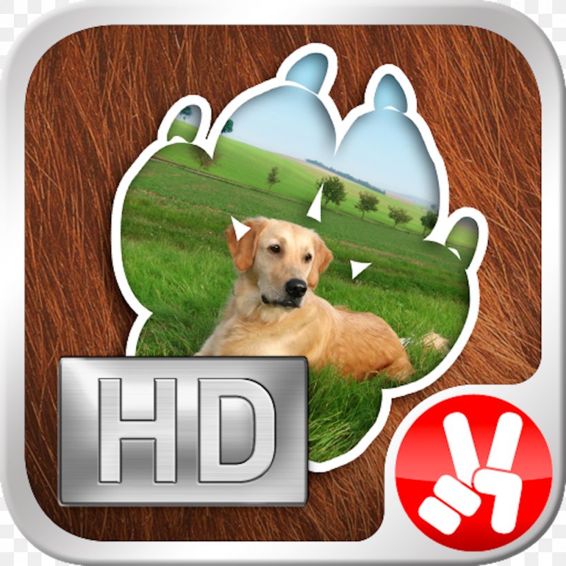 Horse Dog Breed Papa Pear Saga App Store Animal, PNG, 1024x1024px, Horse, Animal, App Store, Apple, Dog Download Free