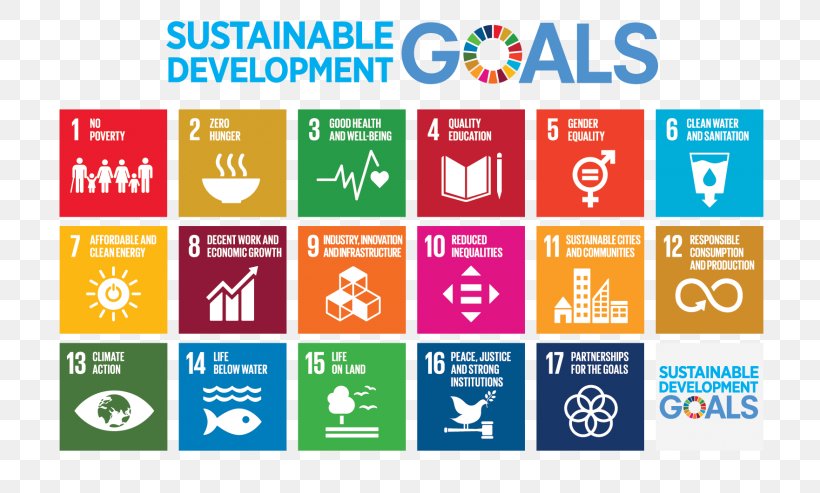 Sustainable Development Goals Millennium Development Goals Sustainability United Nations, PNG, 768x493px, Sustainable Development Goals, Area, Brand, Cifal, Computer Icon Download Free