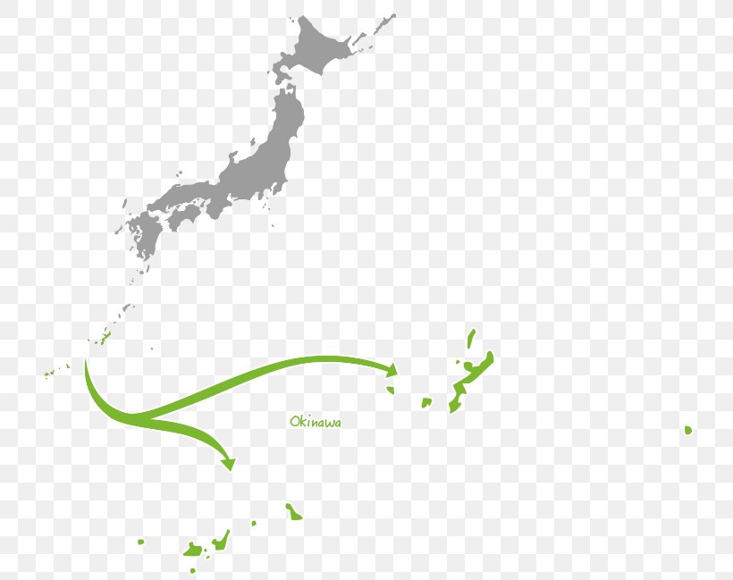 Japan Vector Graphics Image Illustration, PNG, 734x649px, Japan, Area, Branch, Diagram, Flora Download Free