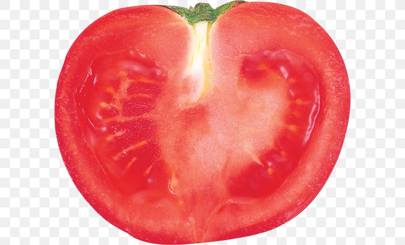 Tomato Vegetable Food Clip Art, PNG, 600x496px, Tomato, Depositfiles, Diet Food, Food, Fruit Download Free
