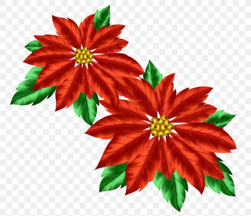 Christmas Decoration Poinsettia Clip Art, PNG, 800x704px, Christmas, Blog, Christmas Decoration, Christmas Ornament, Christmas Tree Download Free