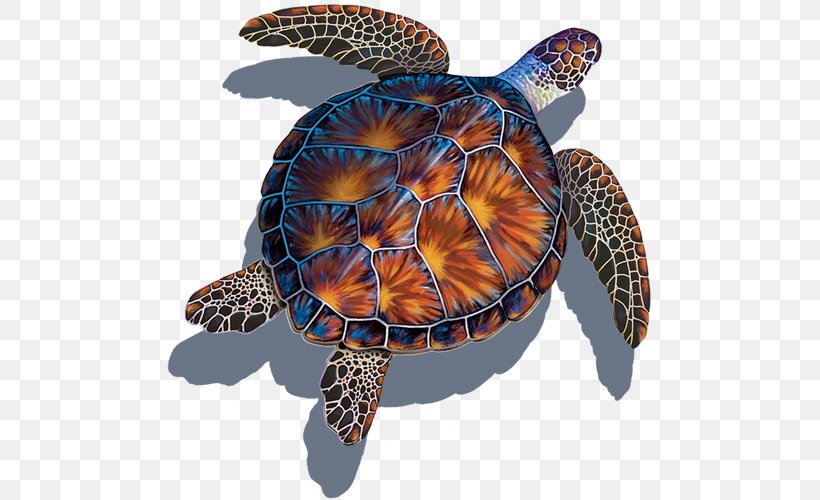 Sea Turtle Background, PNG, 500x500px, Turtle, Backyard, Ceramic, Glass, Green Sea Turtle Download Free