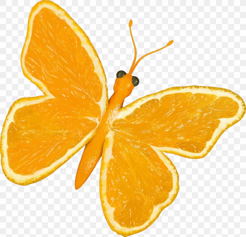 Butterfly Orange Citrus Clip Art, PNG, 2400x2312px, Butterfly, Citric Acid, Citrus, Food, Fruit Download Free