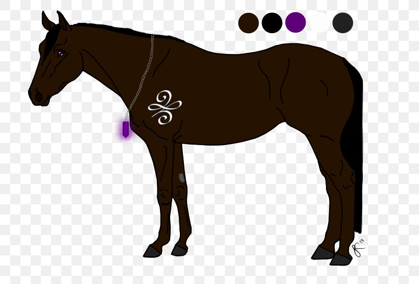 Horse Tack Mane Stallion Rein, PNG, 785x556px, Horse, Bit, Bridle, Colt, Equestrian Download Free