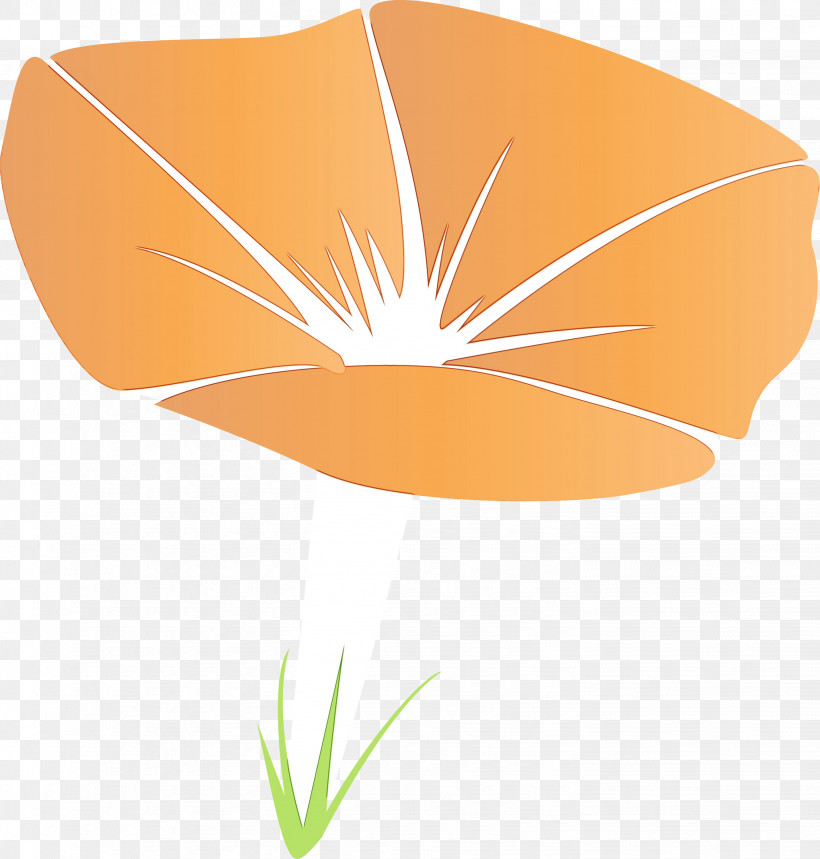 Orange, PNG, 2862x3000px, Morning Glory Flower, Flower, Leaf, Line, Logo Download Free