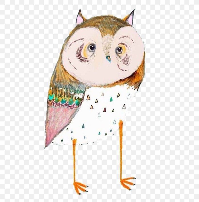 Owl Painting Art Drawing Illustration, PNG, 800x834px, Owl, Art, Beak, Bird, Bird Of Prey Download Free