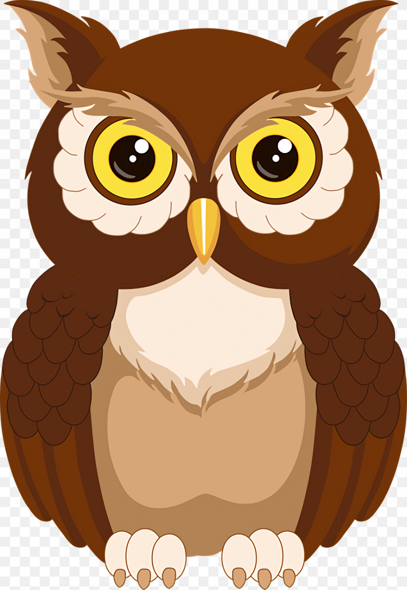 Owls Birds Drawing Owl Cartoon, PNG, 884x1280px, Owls, Birds, Cartoon, Drawing, Owl Download Free