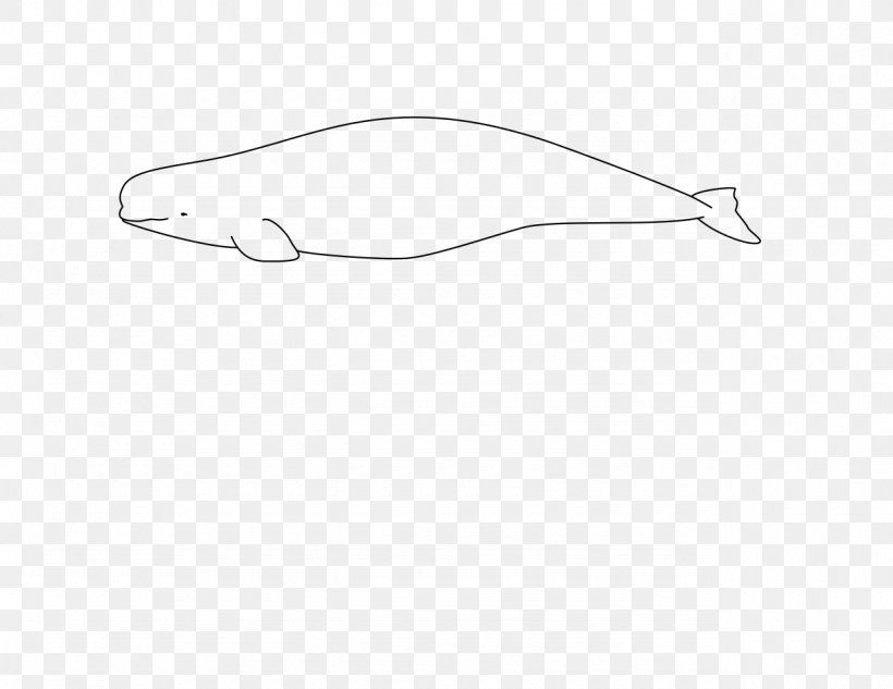 Beluga Whale Arctic Der Weisswal: Delphinapterus Leucas Cetacea Narwhal, PNG, 1280x989px, Beluga Whale, Arctic, Beluga, Black, Black And White Download Free
