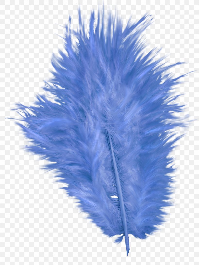 Cobalt Blue Feather, PNG, 1195x1595px, Cobalt Blue, Blue, Cobalt, Feather, Wing Download Free