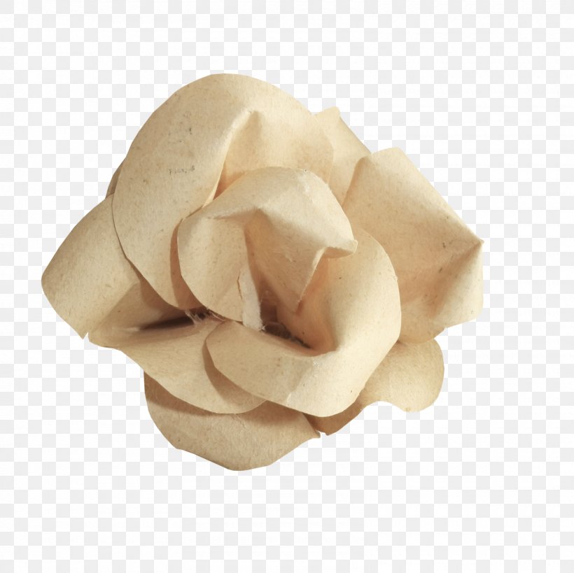 Kraft Paper Garden Roses Flower, PNG, 1600x1599px, Paper, Beige, Cut Flowers, Flower, Garden Roses Download Free