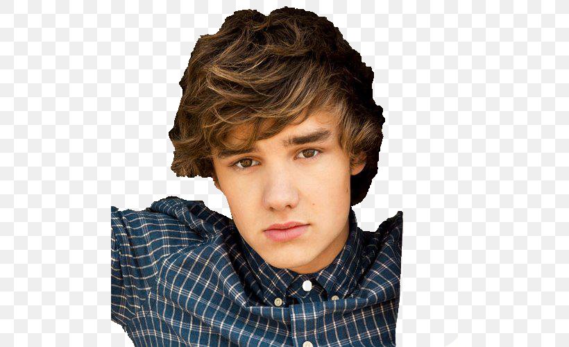 Liam Payne One Direction Photography Boy Band Spotify, PNG, 500x500px, Liam Payne, Actor, Boy, Boy Band, Brown Hair Download Free