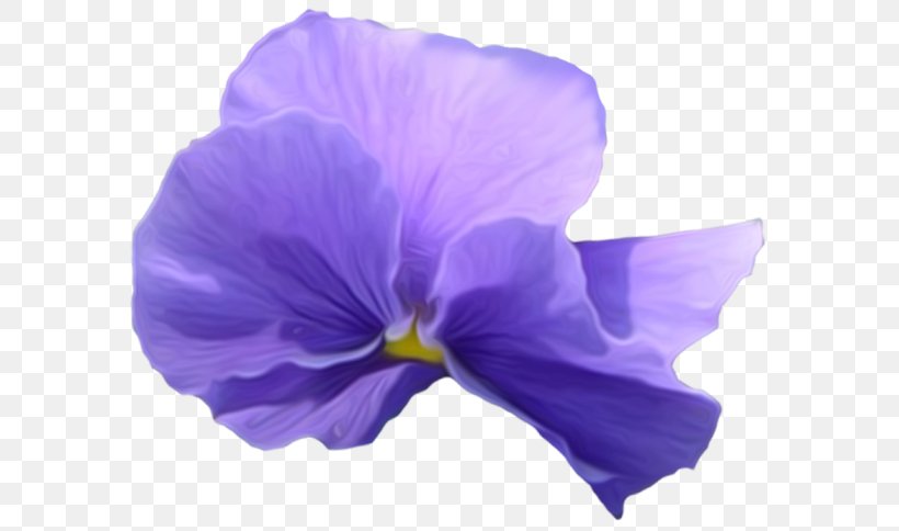 Pansy Violet Flower Clip Art, PNG, 600x484px, Pansy, Beach Moonflower, Blue, Color, Flower Download Free