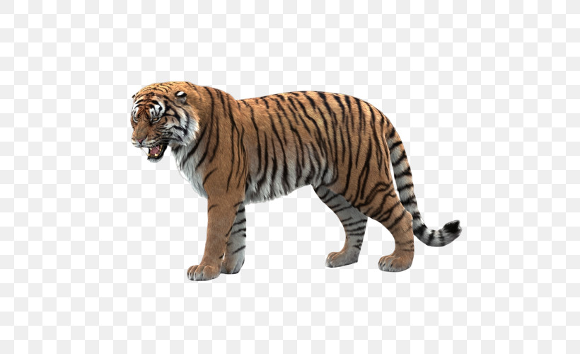 Tiger Bengal Tiger Animal Figure Wildlife Siberian Tiger, PNG, 500x500px, Tiger, Animal Figure, Bengal Tiger, National Park, Siberian Tiger Download Free