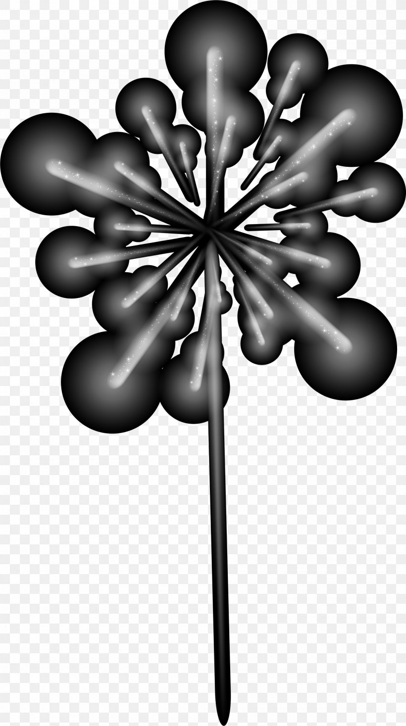Black And White Graphic Design Fireworks, PNG, 2000x3580px, Black And White, Black, Designer, Fireworks, Flora Download Free