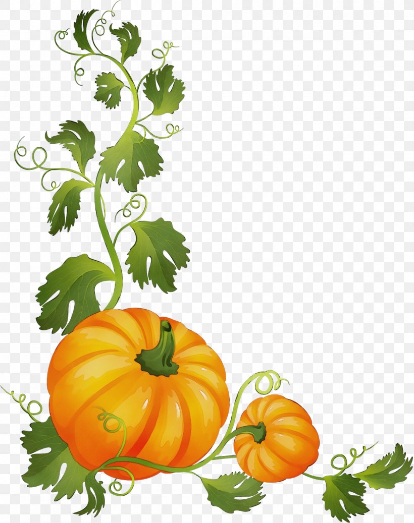 Halloween Pumpkin Cartoon, PNG, 1265x1600px, Watercolor, Calabaza, Celtic Designs, Computer Software, Cucurbita Download Free