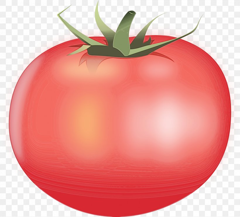 Tomato, PNG, 2400x2170px, Watercolor, Food, Fruit, Natural Foods, Nightshade Family Download Free