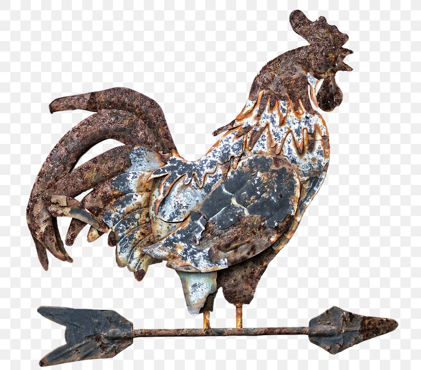 Weather Vane Wind Direction Trails Rooster, PNG, 782x720px, Weather Vane, Beak, Bird, Chicken, Fauna Download Free