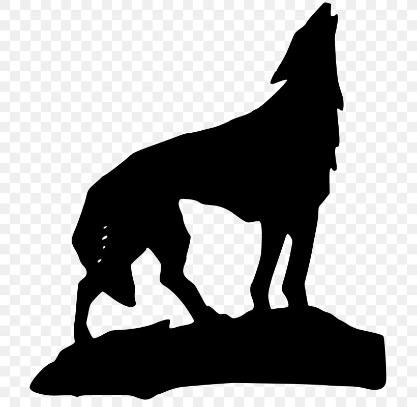 Gray Wolf Coyote Aullido Clip Art, PNG, 710x800px, Gray Wolf, Aullido, Black, Black And White, Carnivoran Download Free
