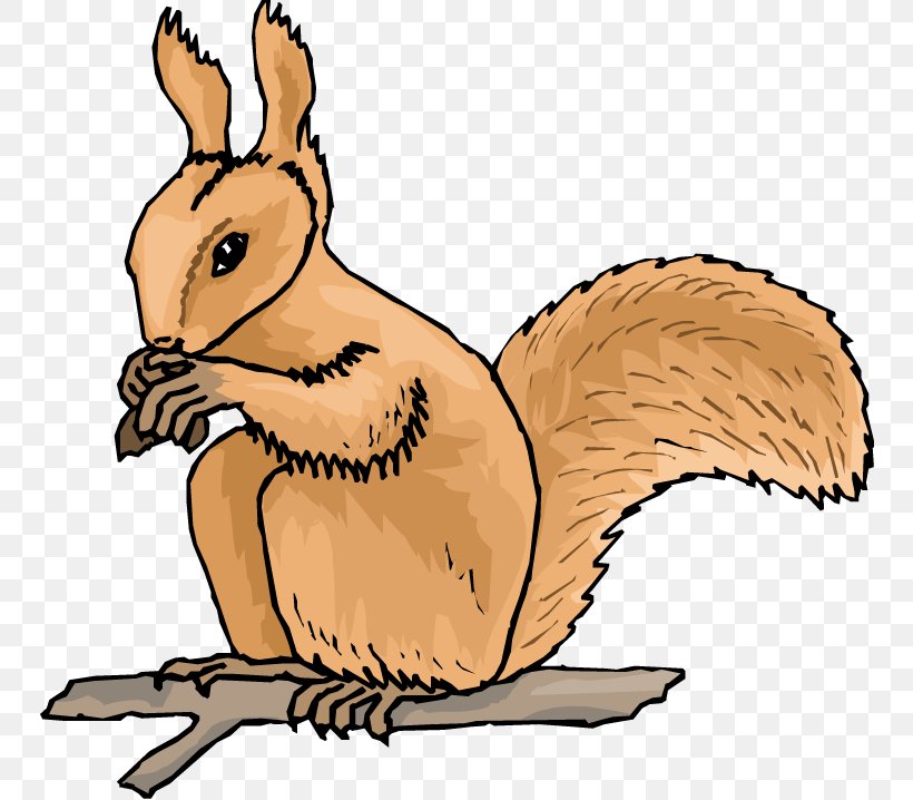 Squirrel Free Content Clip Art, PNG, 750x718px, Squirrel, Animal Figure, Animation, Artwork, Beak Download Free