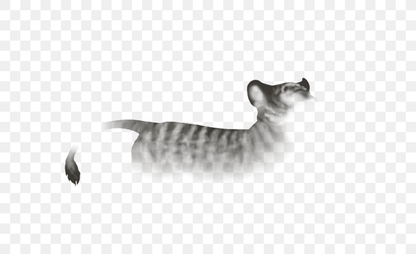 Tabby Cat Toyger Domestic Short-haired Cat Whiskers Fauna, PNG, 640x500px, Tabby Cat, Black, Black And White, Black M, Carnivoran Download Free