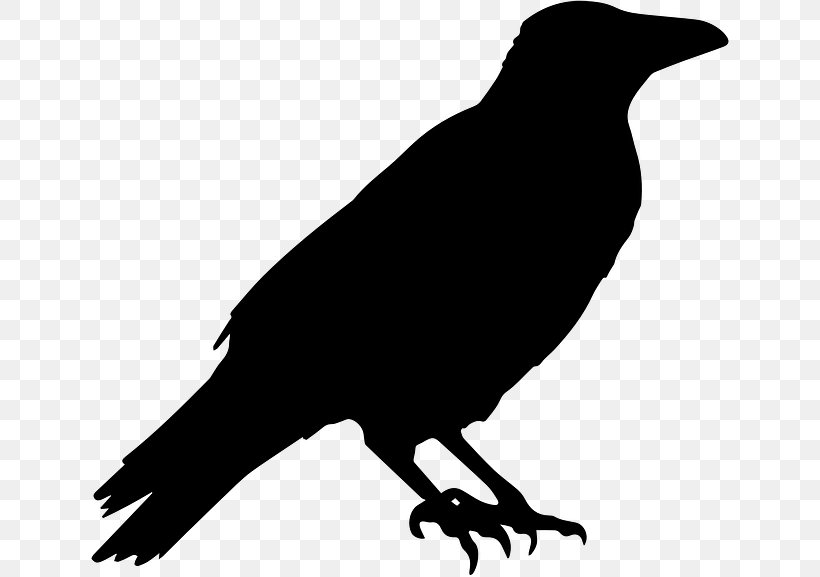 Crow Common Raven Halloween Clip Art, PNG, 640x577px, Crow, American Crow, Beak, Bird, Black And White Download Free