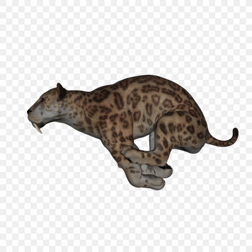 Leopard Big Cat Terrestrial Animal Puma, PNG, 894x894px, Leopard, Animal, Animal Figure, Big Cat, Big Cats Download Free