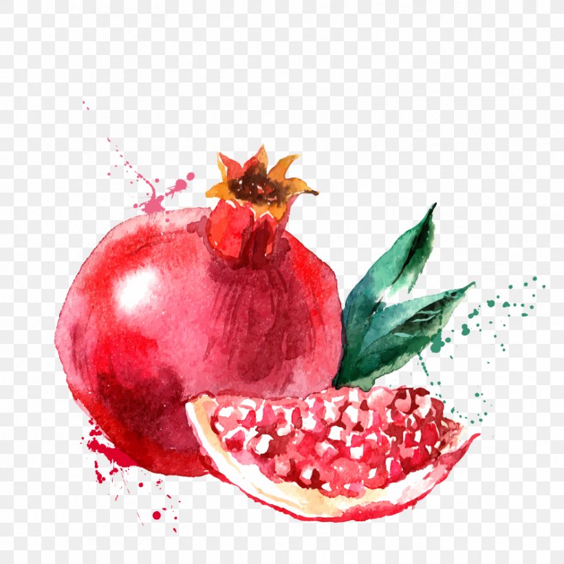 Pomegranate Juice Drawing Clip Art, PNG, 886x886px, Pomegranate Juice, Accessory Fruit, Apple, Christmas Ornament, Drawing Download Free