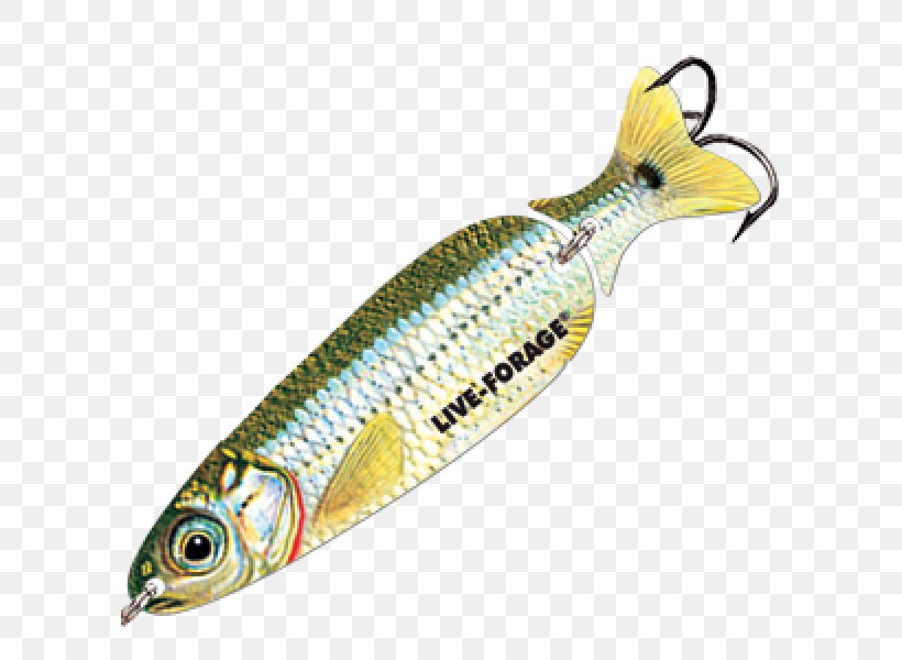 Spoon Lure Fishing Baits & Lures Plug, PNG, 600x600px, Spoon Lure, Bait, Brass, Crank, Fish Download Free
