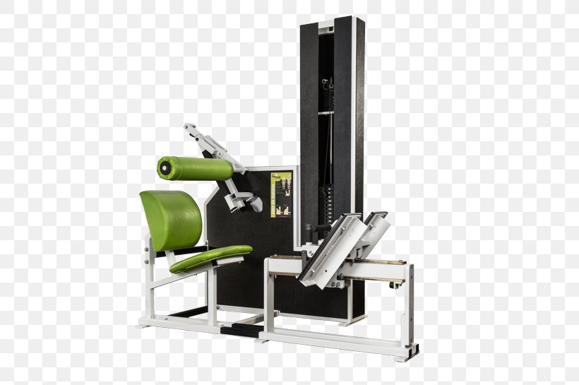 Weightlifting Machine MedAix Training Physical Therapy Pain, PNG, 800x545px, Weightlifting Machine, Abdomen, Endurance, Exercise Equipment, Exercise Machine Download Free